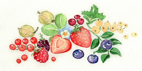 Beeren Aquarell