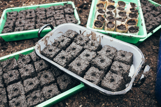 Trays with pressed soil cubes ready for sowing transplants