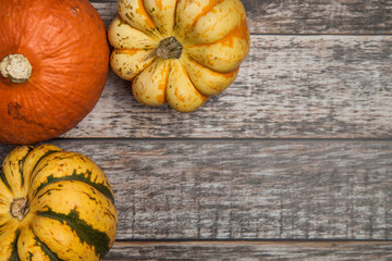 Top view of 3 various squash varieties on a wooden table