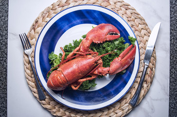 Close Up of a Lobster on a Dinner Plate