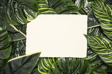 Empty card over palm leaves, top view