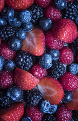 Mixed Fruit Berry Cake 
