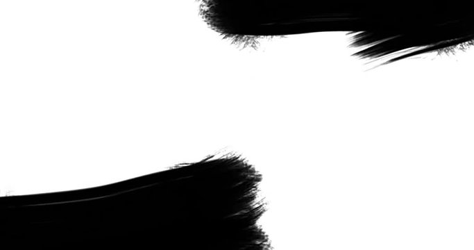 abstract oblique splash paint brush stroke black and white transition background, animation of paint splash with alpha channel