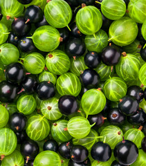 Background of different berries and fruits.