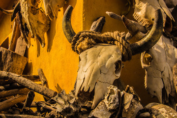 Artesanía y altar decorativo mexicano de craneo