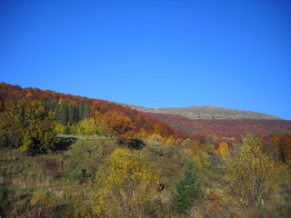Bieszczady