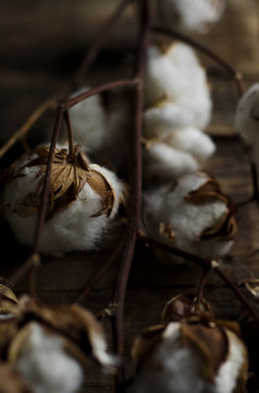 cotton