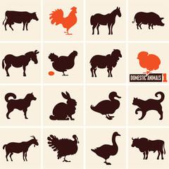 Domestic animals. Farm animals. Animals icons.