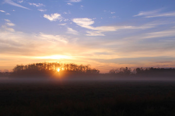Fototapeta na wymiar Early Morning Sunshine Over a Farm in Florida, United States.