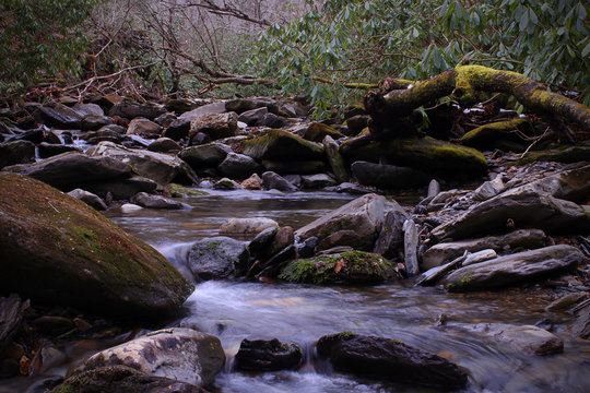 Macro Naturescape of a Small River in Slow Shutter Speed