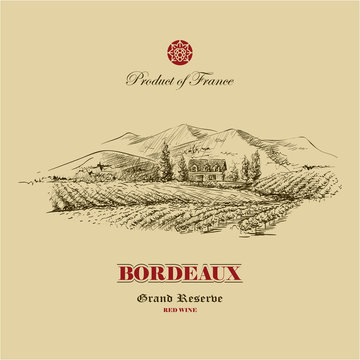 vineyard landscape hand drawn illustration, wine label design template