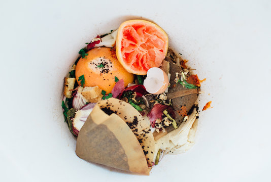 Bottom of the Compost Bin