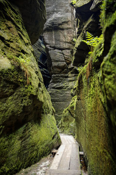 path in Adrspach- beautiful sandstone rocks town in Sudety, Czech Republic