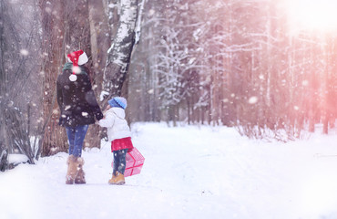 Fototapeta na wymiar A winter fairy tale, a young mother and her daughter ride a sled
