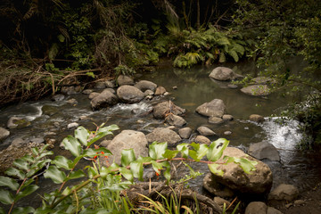 Naklejka na ściany i meble Cascade creek New Zealand