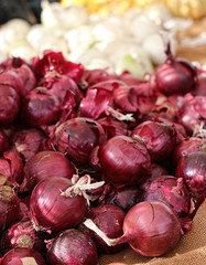Close-up of red onions with white onions in the background