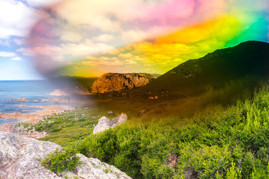 Rocky Cape, Tasmania, with light leak caused by polarised sungla