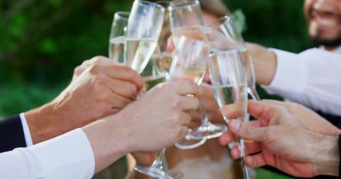 Guest toasting with champagne glasses along with bride and groom  