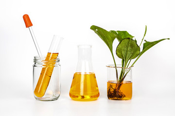 Beauty product natural organic botany