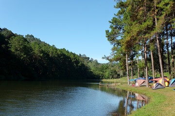 Pang Tong Under Royal Forest Park ( Pang ung ) at Mae Hong Son Province,Thailand. Pang Ung is a popular place to stay in a camping in the winter.