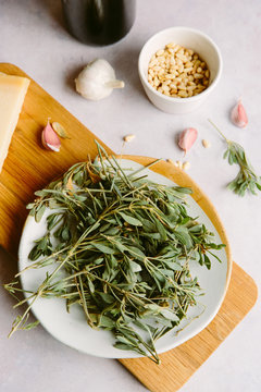 Ingredients for pesto made with wild sea purslane