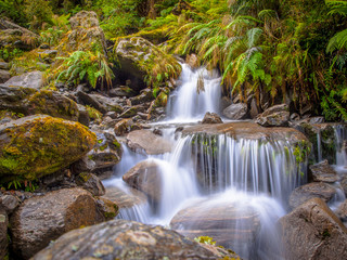Fototapeta na wymiar small rainforest waterfall
