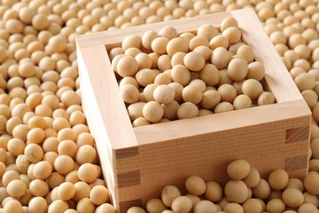 大豆　Soybean