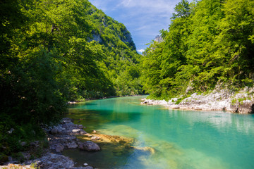 Fototapeta na wymiar mountain river with crystal clear water among the green mountains