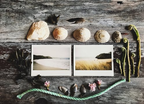 Instant photos of a beach and items collected on it. A collage.