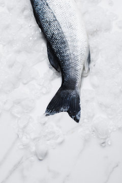 Branzino dinner prep