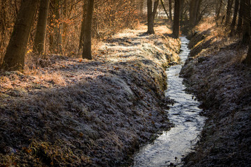 The romantic garden of Sanderumglard in Denmark