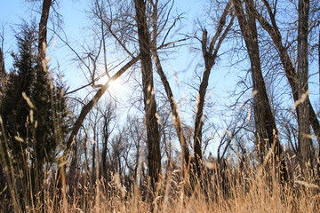sunny day