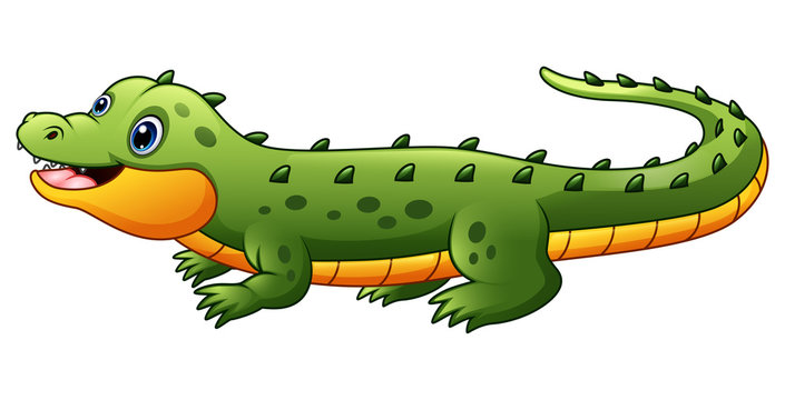 Cute crocodile cartoon isolated on white background