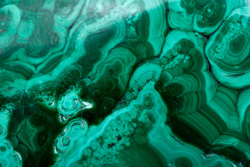 Polished green free form bullseye malachite specimen like art background  - obrazy, fototapety, plakaty