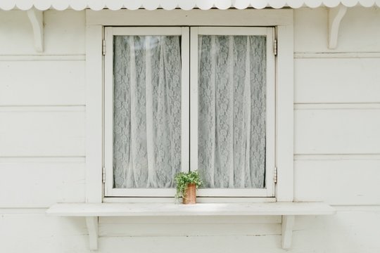 Pot on a Windowsill