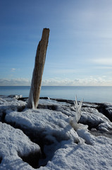 ice and sea