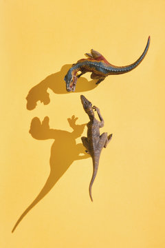 From above shot of fighting dinosaurs