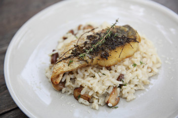 risotto with sea bass fillet steak on wood background , italian food