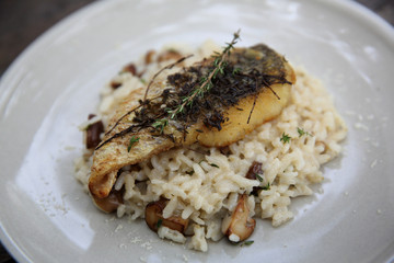 risotto with sea bass fillet steak on wood background , italian food