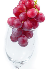 fresh grapes in wine glass