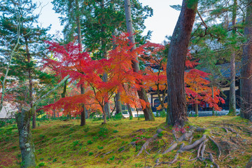 京都　南禅寺の紅葉