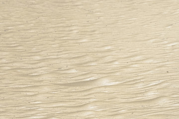 Fototapeta na wymiar Dune detail - texture and background