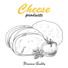 Vector background with cheese