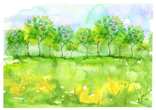     Watercolor background. Blossoming meadow, field, countryside landscape. Green Tree. Summer, autumn landscape. Silhouettes of forest, trees, wild grass, flower, plant. 