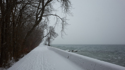 snowy path