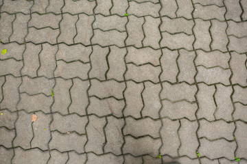 Cement floorin garden