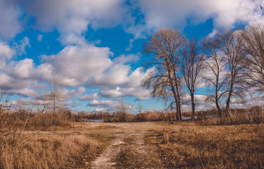 Obraz premium Path in the spring meadow. The picturesque nature of England in the early spring