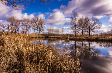 Sunny spring day in England. Picturesque nature in early spring