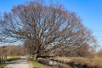 Obraz premium さいたま市見沼の芝川沿いの風景