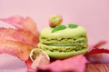 macaron à la pistache